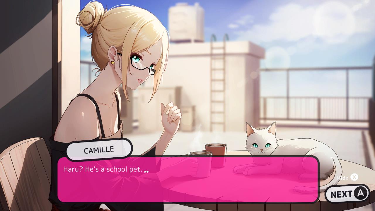 Hentai Academy For Nintendo Switch Nintendo Official Site