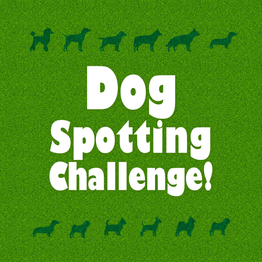 Dog Spotting Challenge!