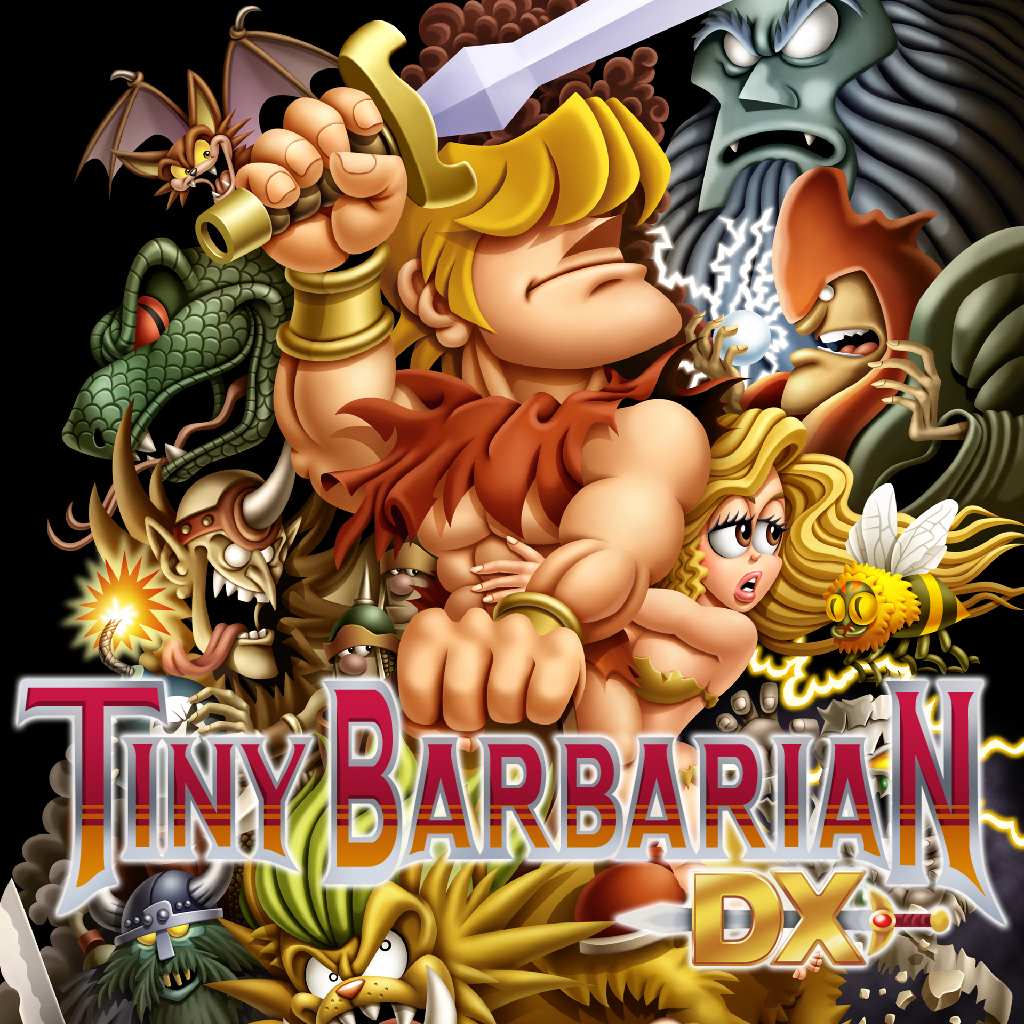 Tiny Barbarian DX