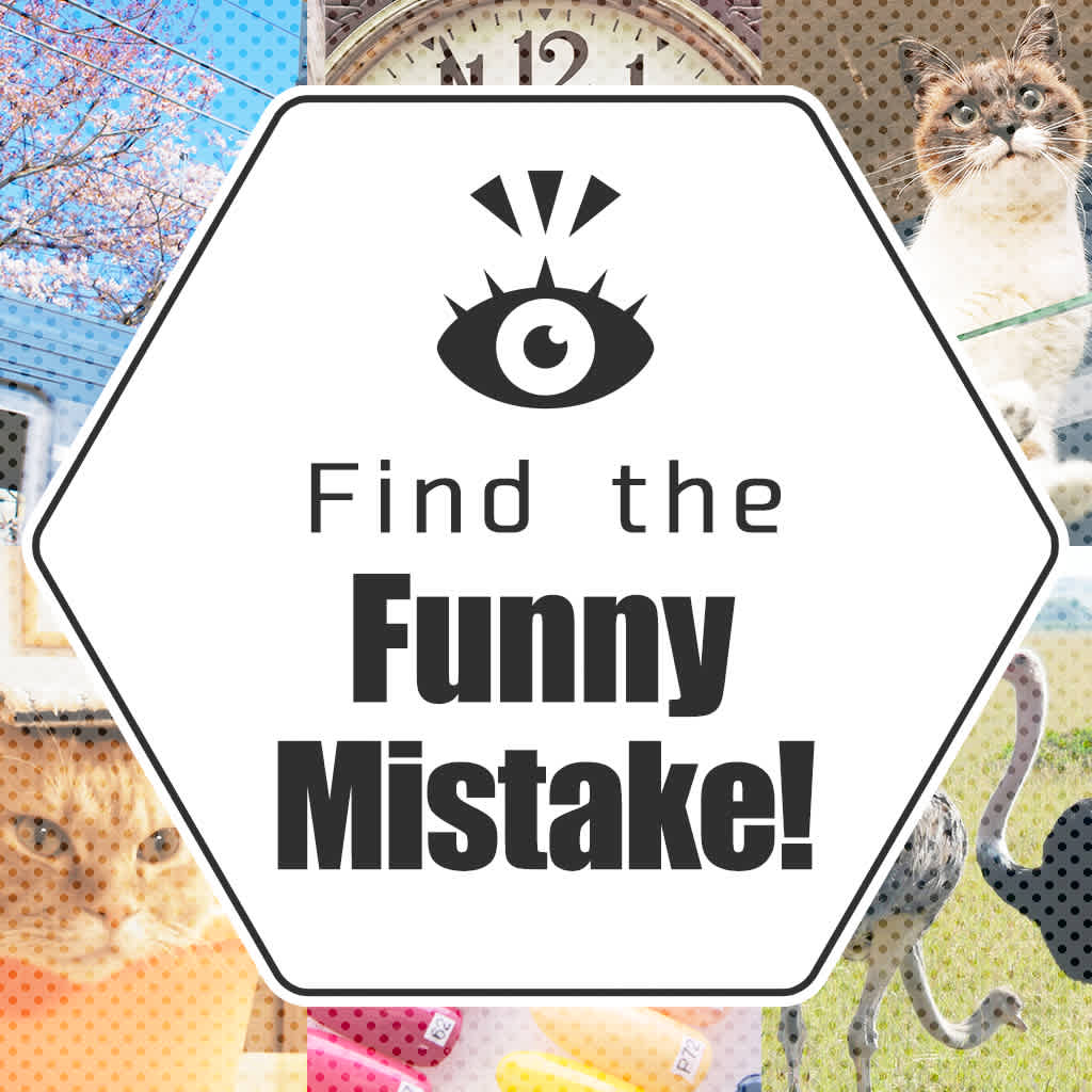 Find the Funny Mistake!
