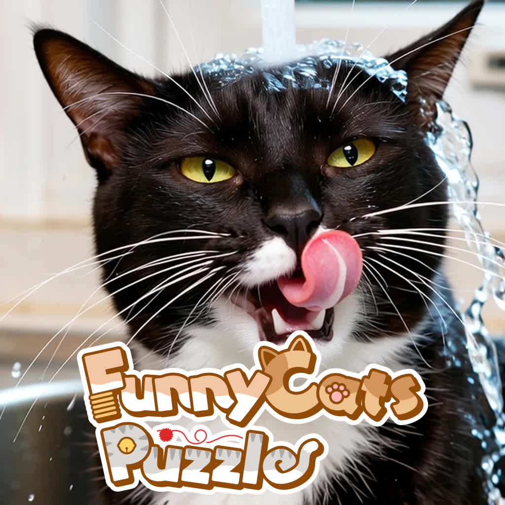 Funny Cats Puzzle icon