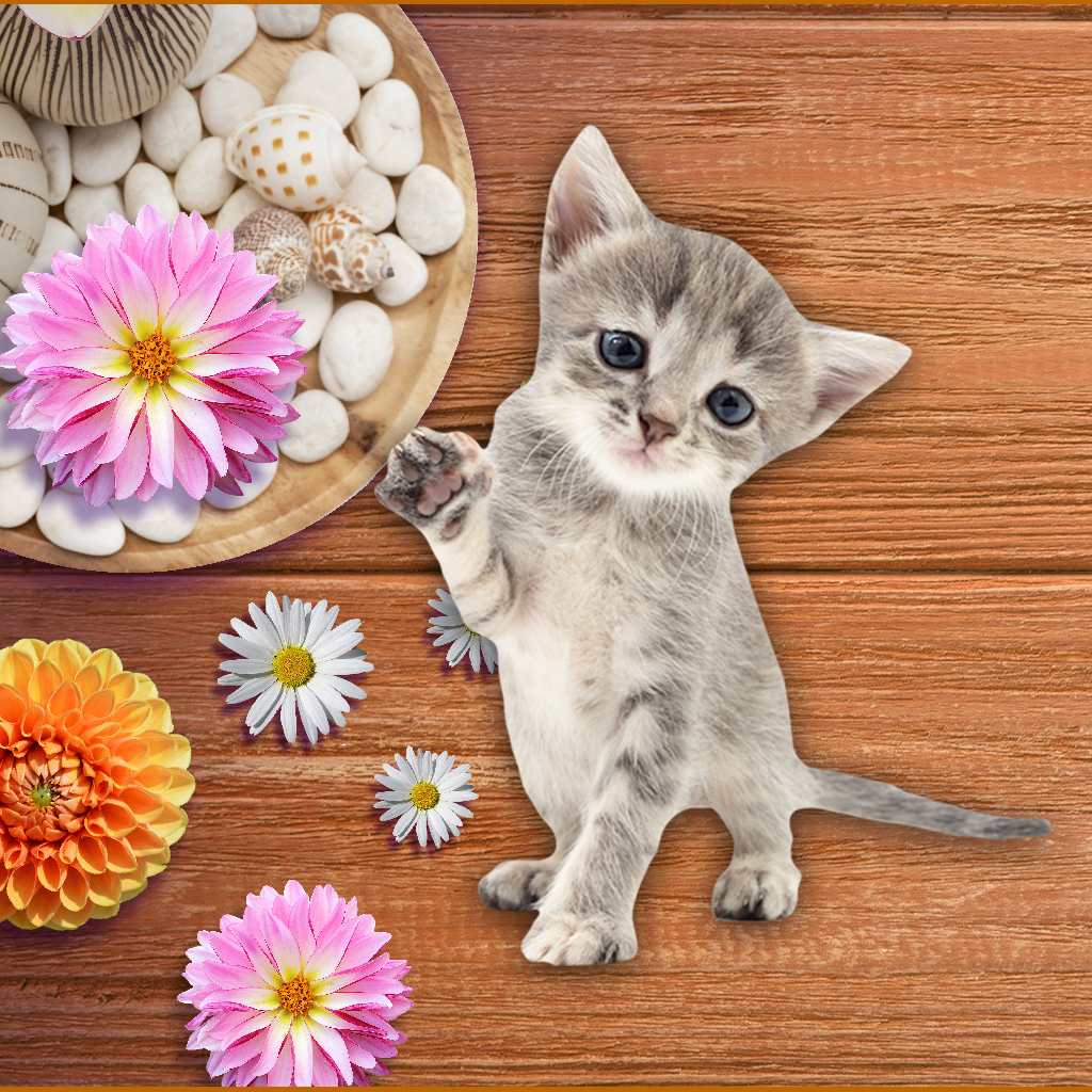 I Love Finding Furbabies Collector's Edition