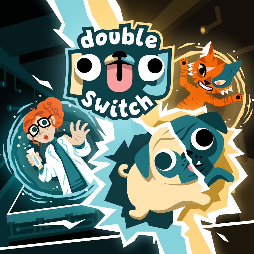 Double Pug Switch