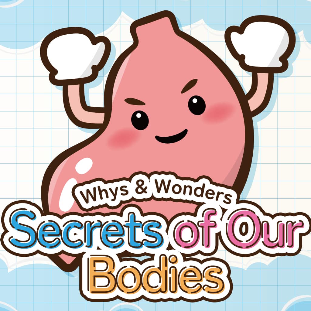 Whys & Wonders Secrets of Our Bodies