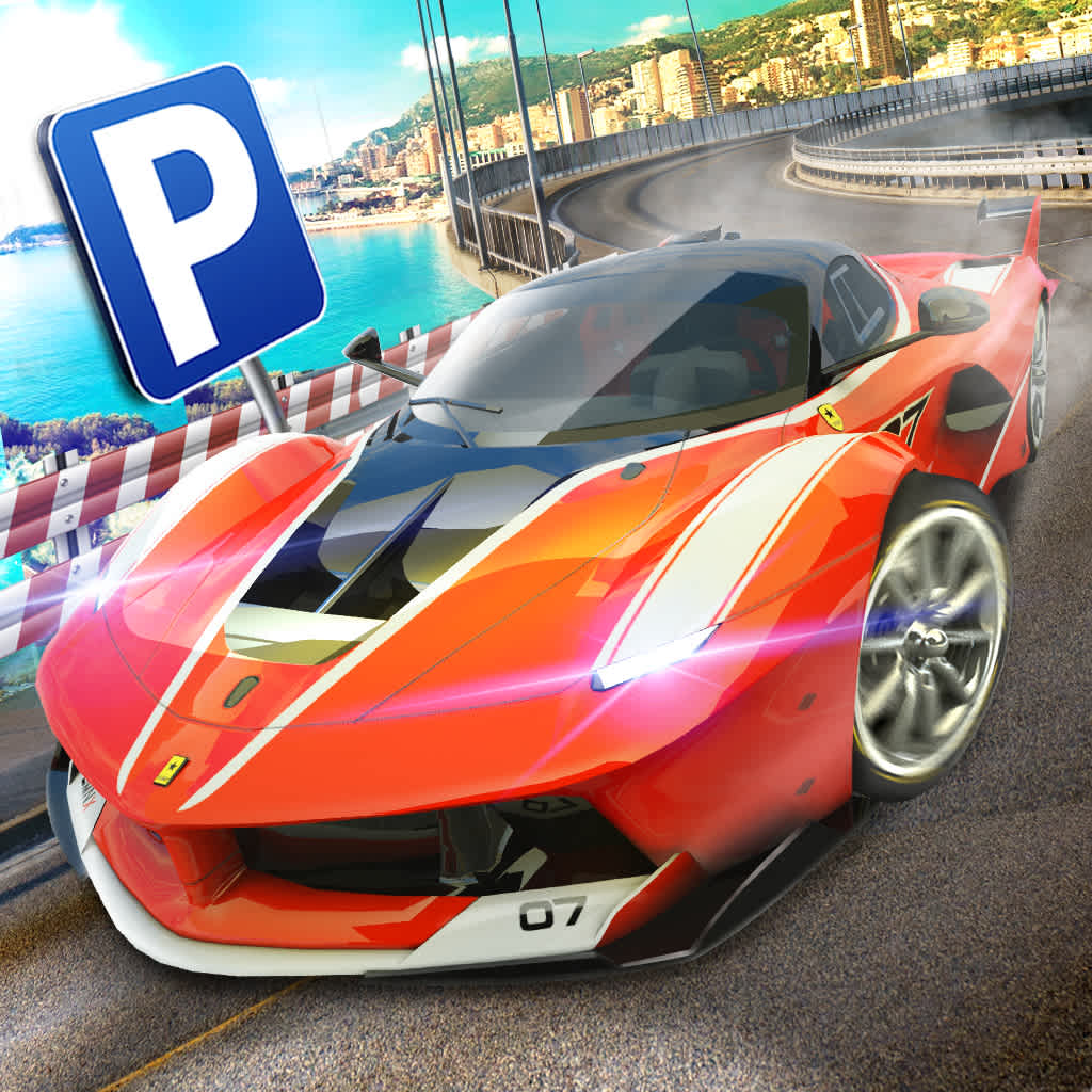 Sports Car Driver