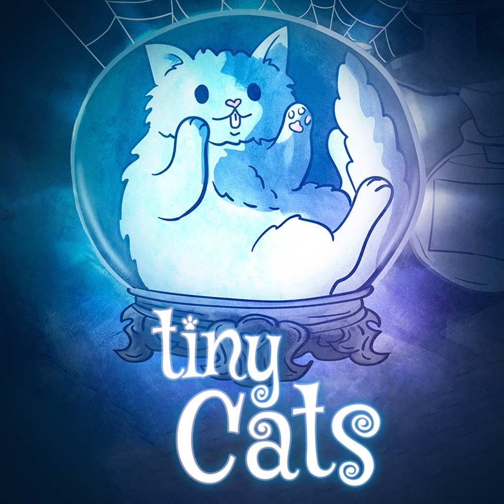 pequenos Gatos