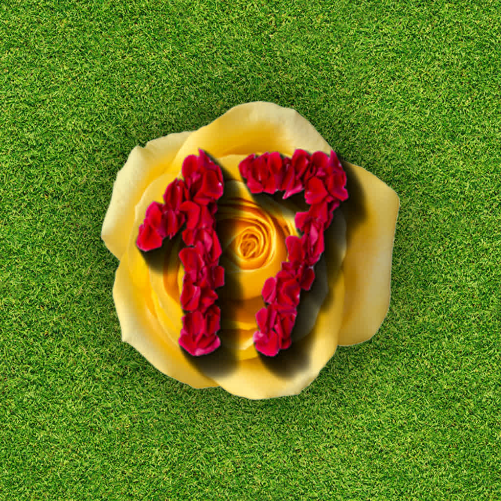 Clutter 17 Flower Power Collector's Edition icon