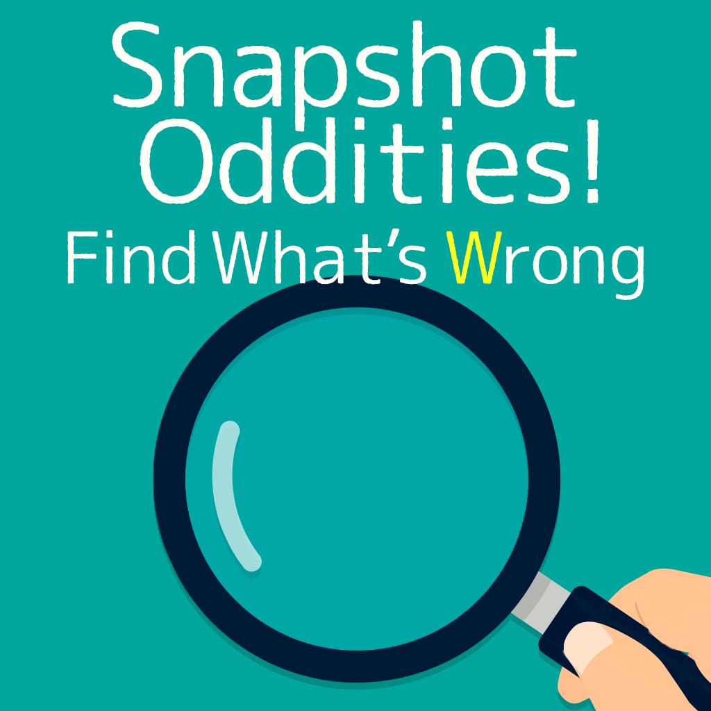 Snapshot Oddities ! Find What’s Wrong