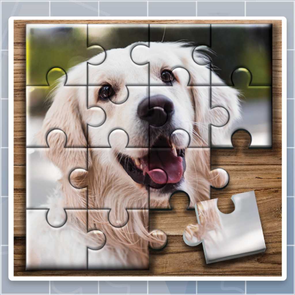 Jigsaw Puzzle Fever
