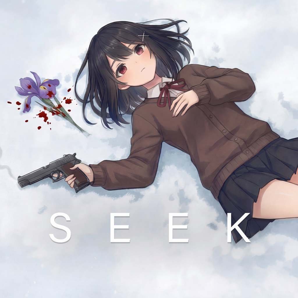 Copertina di SEEK