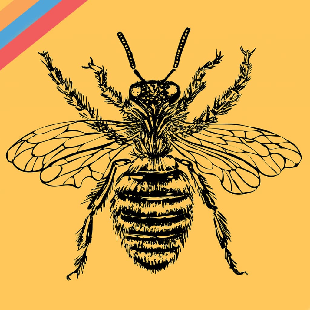 Where the Bees Make Honey