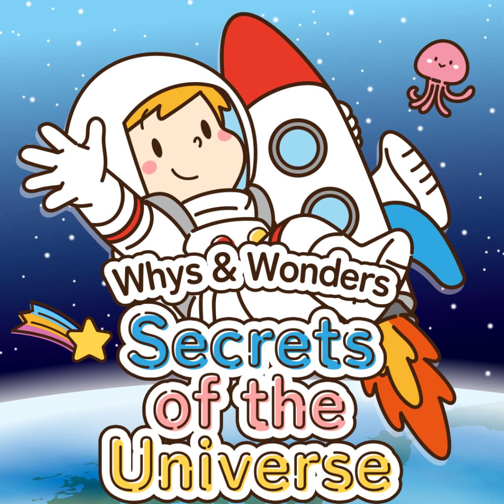 Whys & Wonders Secrets of the Universe