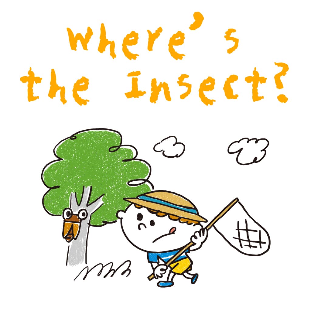 Where’s the Insect?