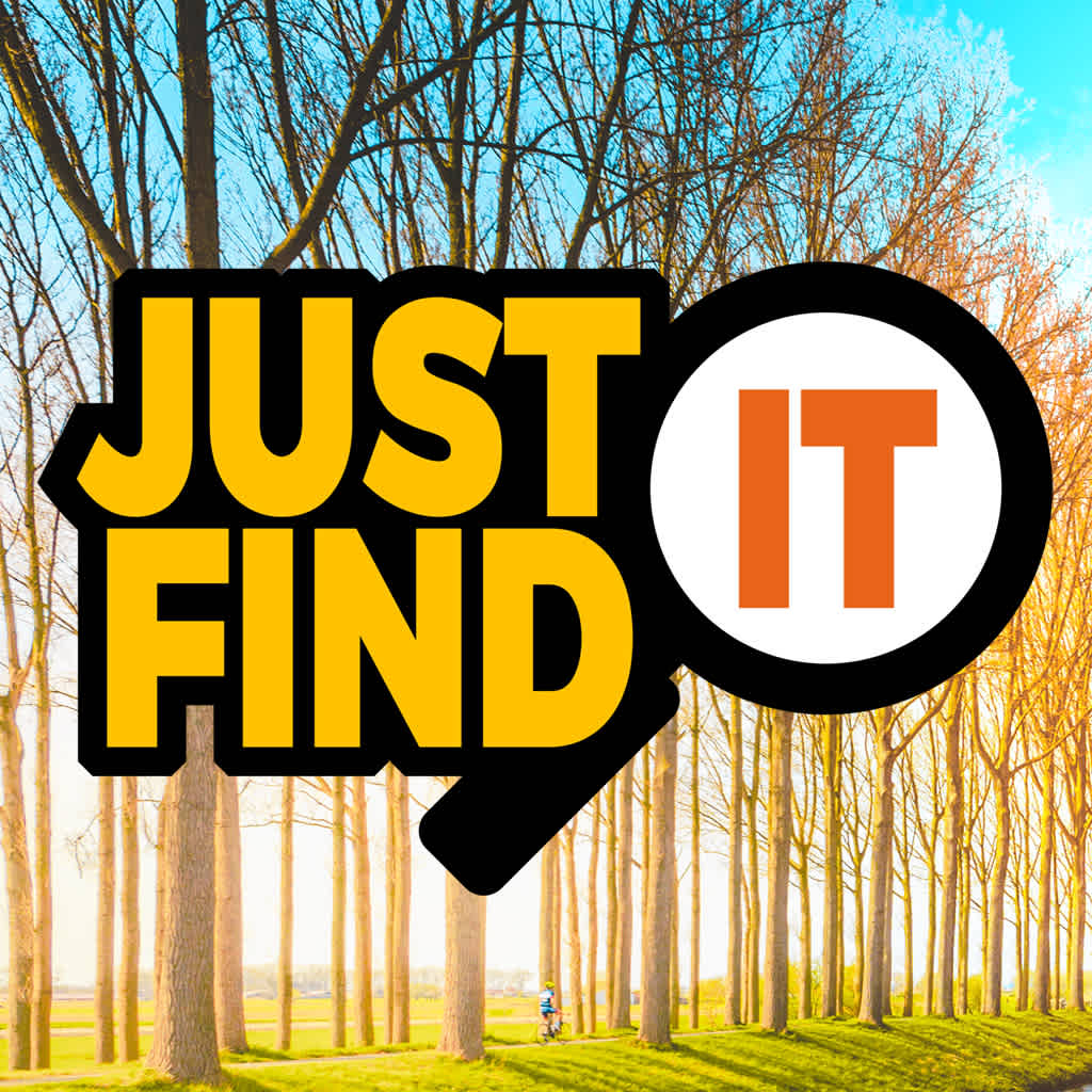 Just Find It Collector's Edition