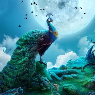 Darkarta: A Broken Heart Quest Collector's Edition