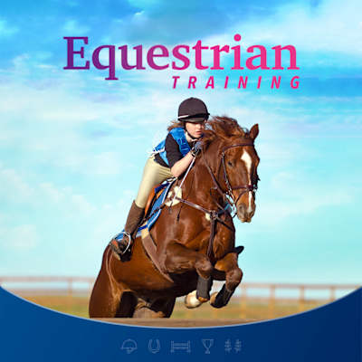 Equestrian Training 
