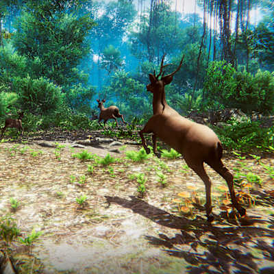 Hunter Shooting Camp