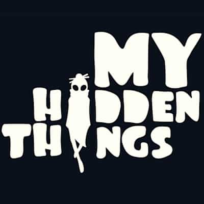 My Hidden Things