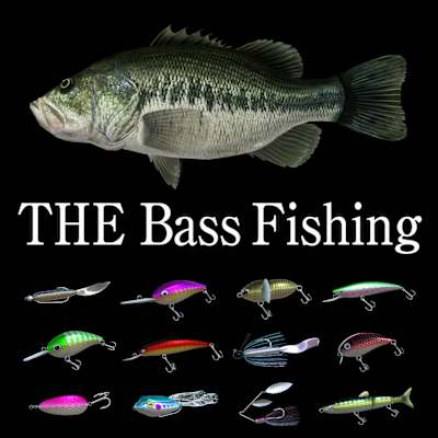 THE Bass Fishing