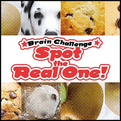 Brain Challenge Spot the Real One!