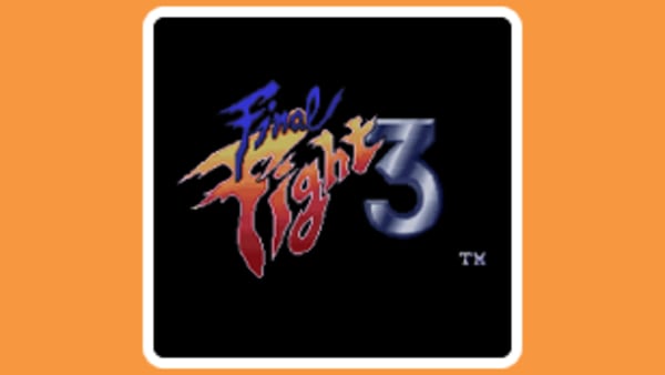 Final top fight 3ds