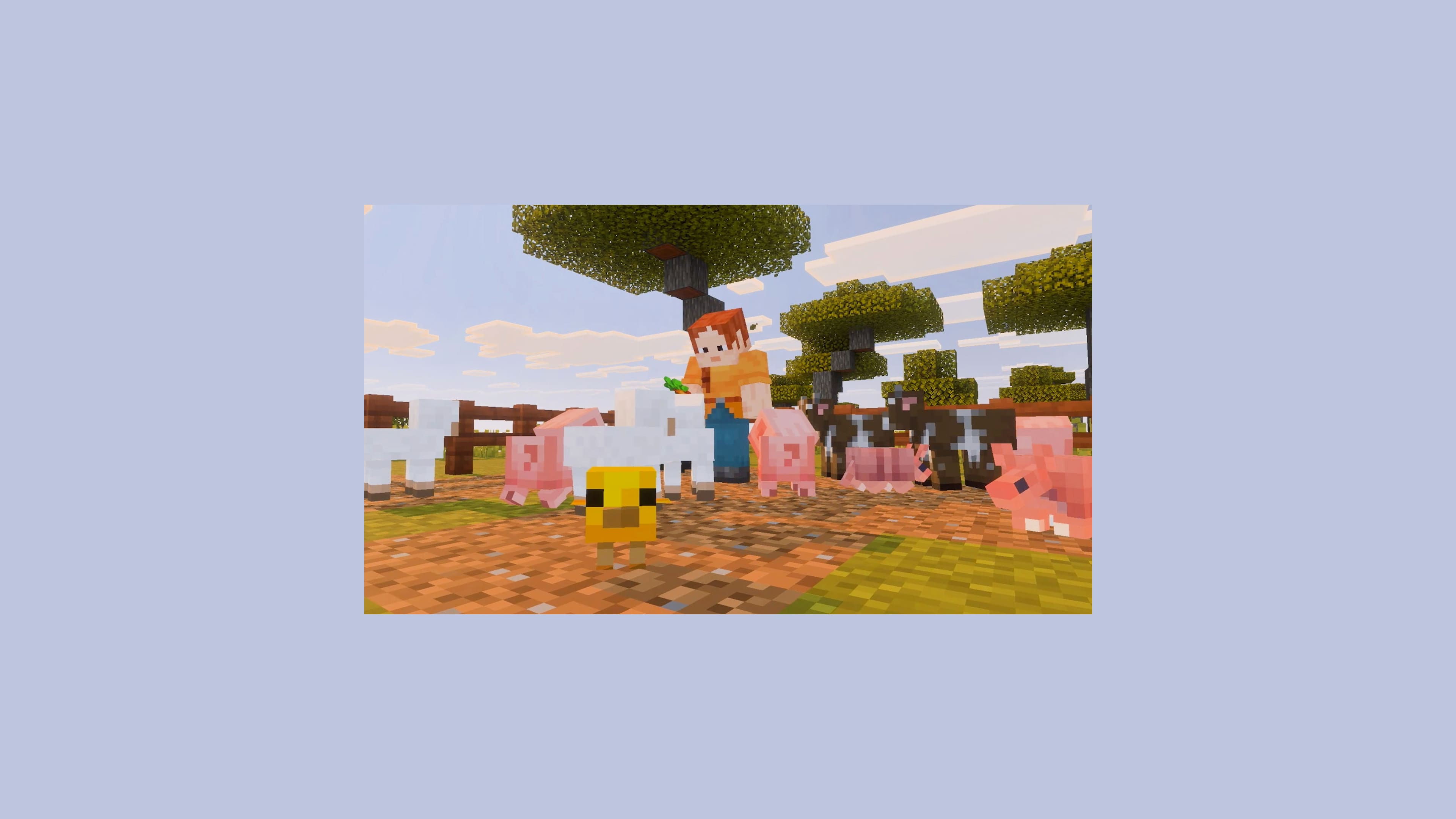 A Minecraft player feeds farm animals including sheep, pigs and a cow at sunset with Vibrant Visuals lighting