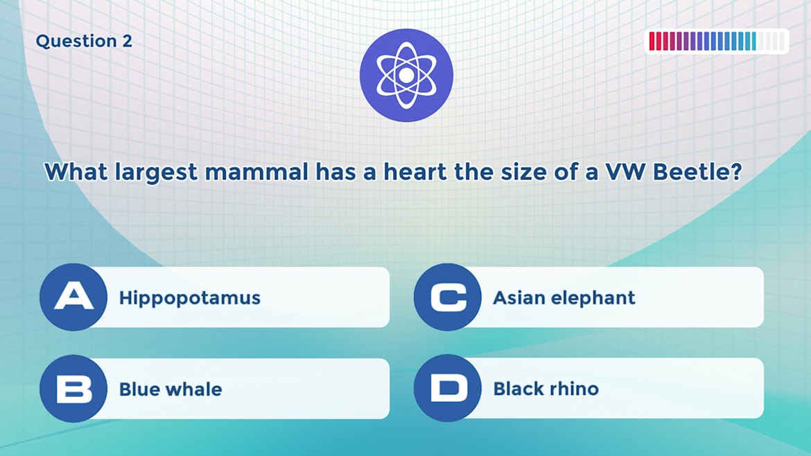 智力问答：泛知识-Knowledge Trainer: Trivia -游戏截图-好玩游戏库