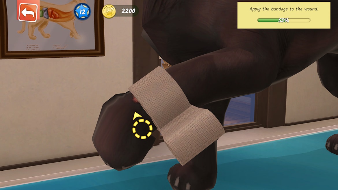 动物医院-Animal Hospital-游戏截图-好玩游戏库