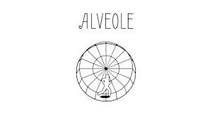 Alveole