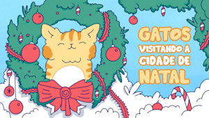 Gatos visitando a cidade de Natal