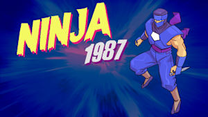 Ninja 1987 Product Image