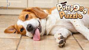 Puffy Dog Puzzle Product Image