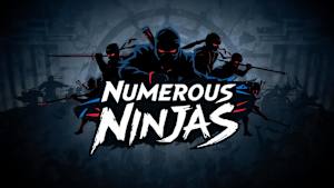 Numerous Ninjas Product Image