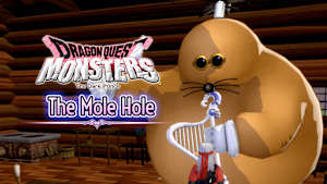 The Mole Hole Product Image