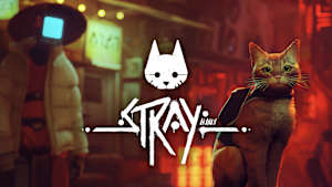 Stray Product Image
