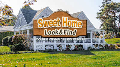 Sweet Home: Look and Find Collector's Edition