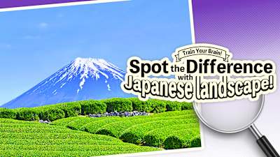 Train Your Brain! Spot the Difference with Japanese landscapes