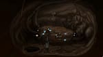 Primordia - Thumbnail 1