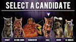 Cat President: A More Purrfect Union - Thumbnail 6