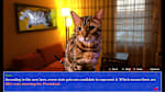 Cat President: A More Purrfect Union - Thumbnail 1