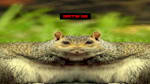 Squirrel Stapler - Thumbnail 5
