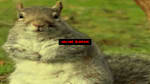 Squirrel Stapler - Thumbnail 2