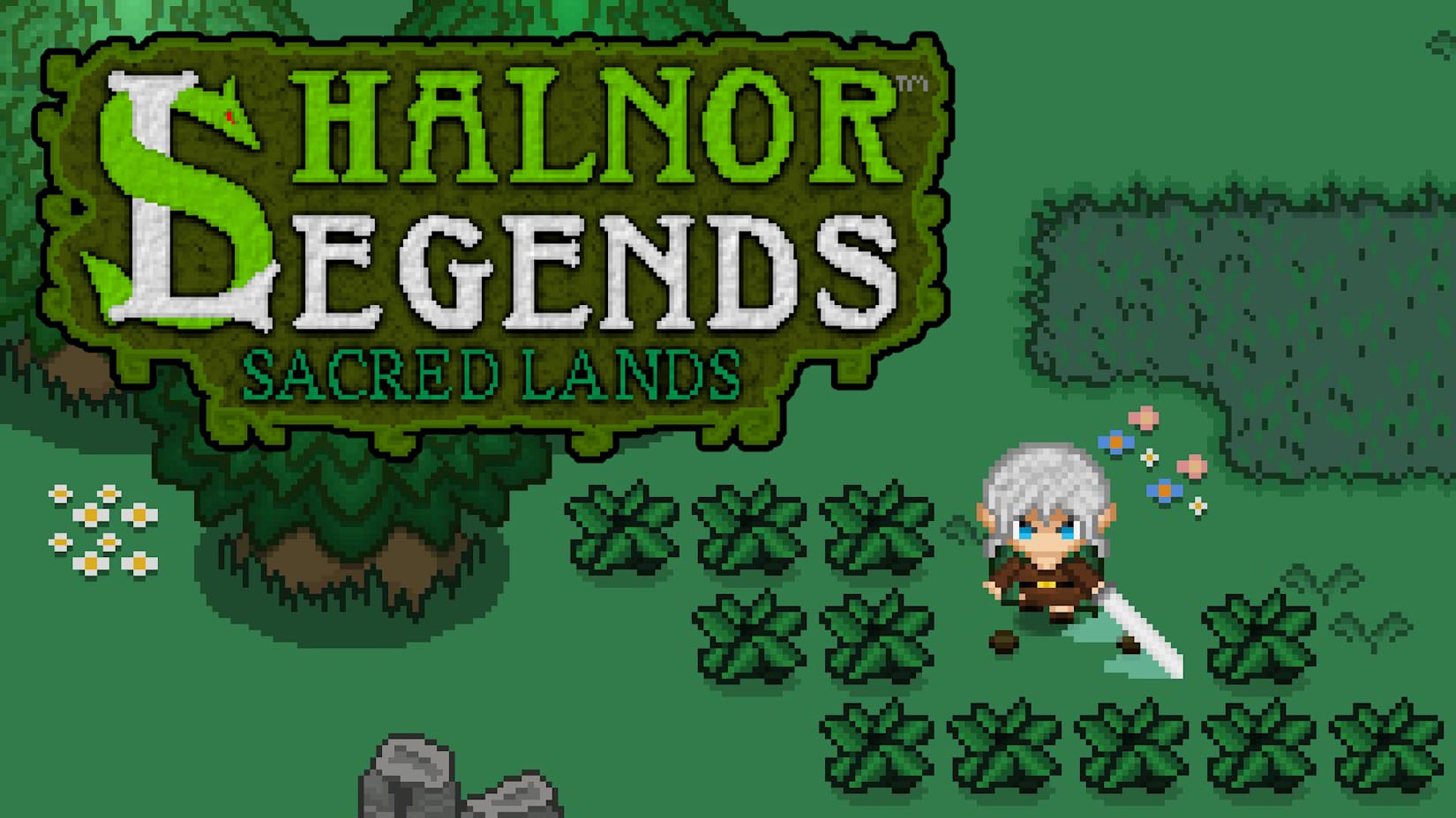 Capa de Shalnor Legends: Sacred Lands