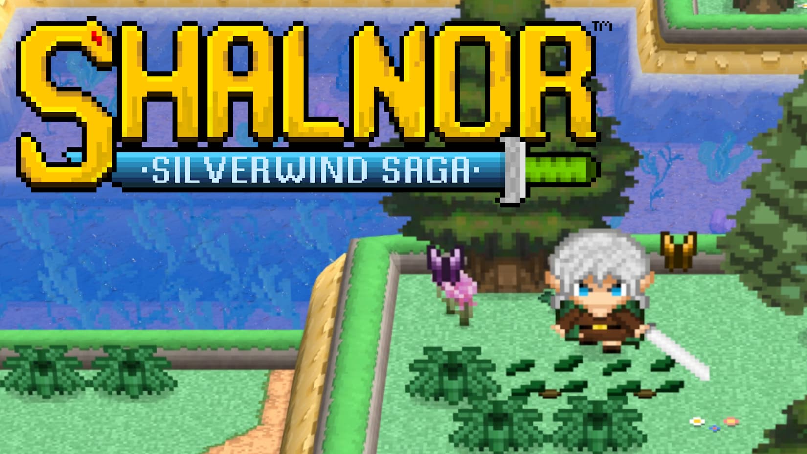 Capa de Shalnor: Silverwind Saga