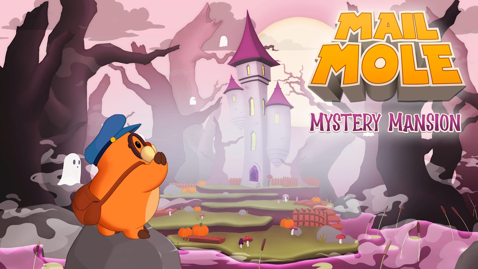 Mail Mole: Mystery Mansion 封面