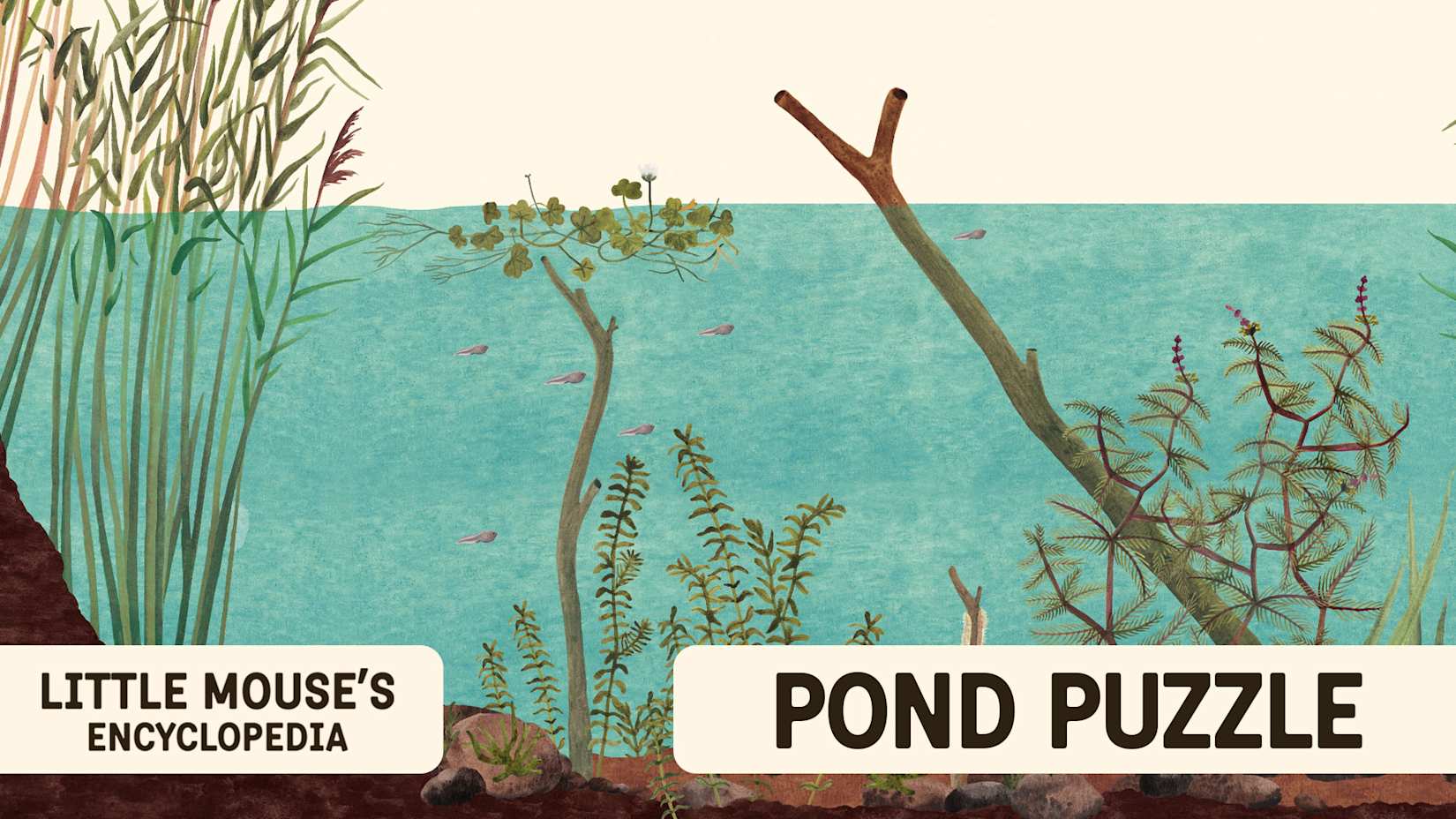 Pond Puzzle 封面