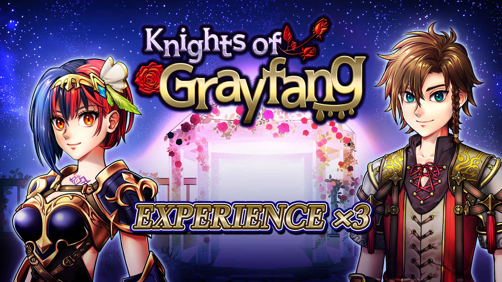 Experience x3 - Knights of Grayfang 封面