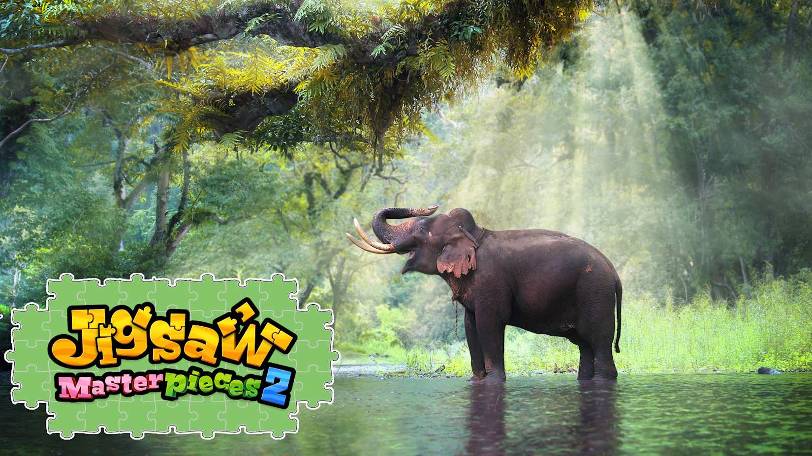 Wildlife in the Spotlight 封面