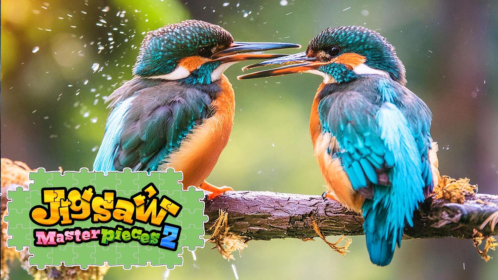 Birds in Vibrant Colors 封面