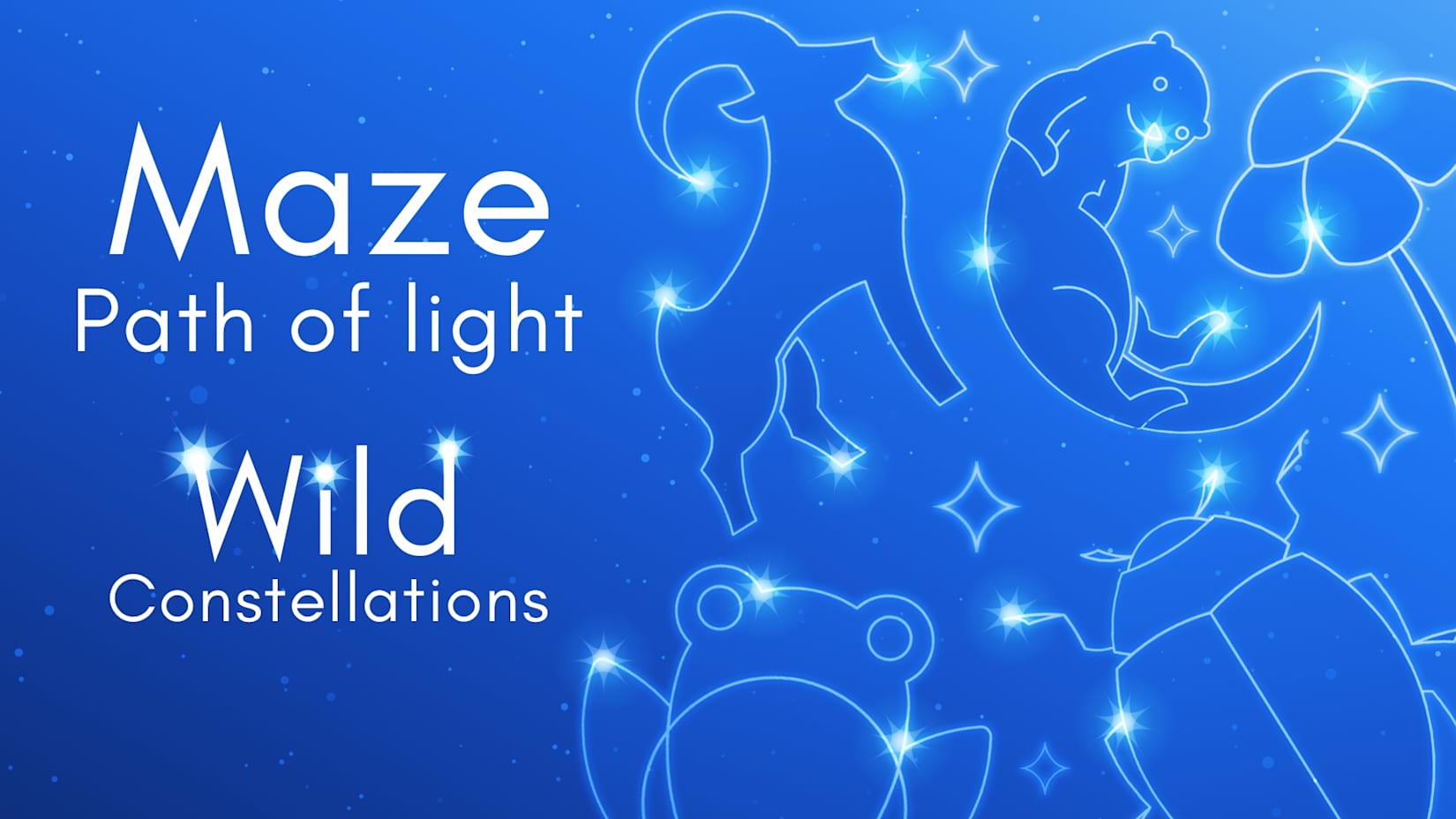 Capa de Maze: Path of Light - Wild Constellations